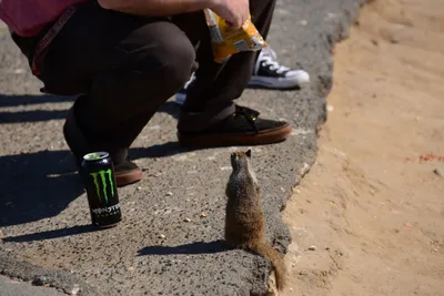 DSC_6878 (Large).JPG